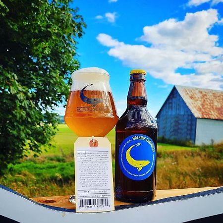 La Baleine Endiablee Microbrasserie Riviere-Ouelle エクステリア 写真